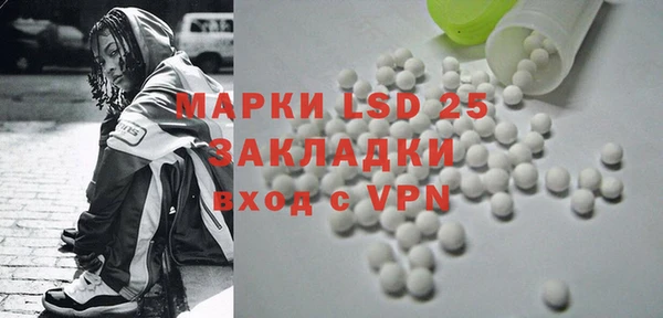 PSILOCYBIN Белокуриха