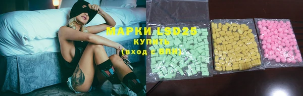 PSILOCYBIN Белокуриха