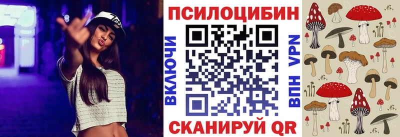 Купить  Пущино  Галлюциногенные грибы MAGIC MUSHROOMS 